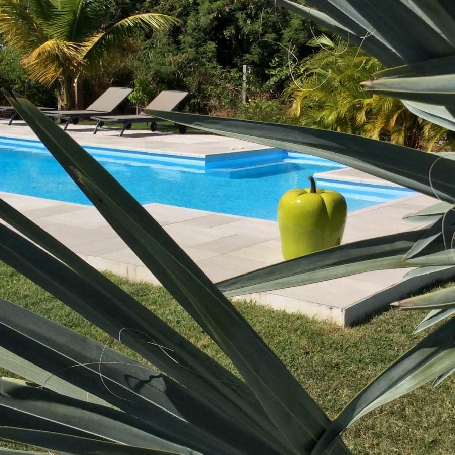 Gite Les Jardins D'Enoha Anse-Bertrand Ngoại thất bức ảnh